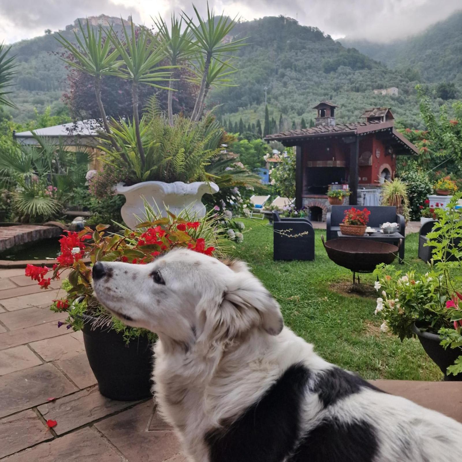 Jasmine Cottage Luni Εξωτερικό φωτογραφία