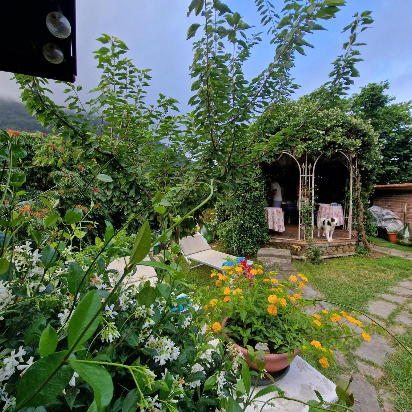 Jasmine Cottage Luni Εξωτερικό φωτογραφία